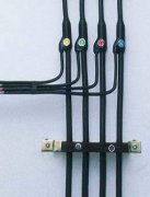 0.6-1KV塑料绝缘及护套预分支电力365彩票app下载不了_365bet下注_365bet假网站