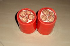 硅橡胶绝缘控制365彩票app下载不了_365bet下注_365bet假网站